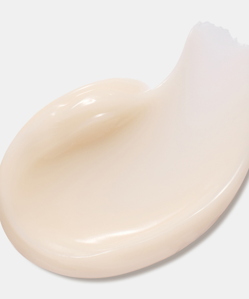 INNISFREE Collagen Green Tea Ceramide Bounce Barrier Cream 50mL + 50mL (Refill) image 4